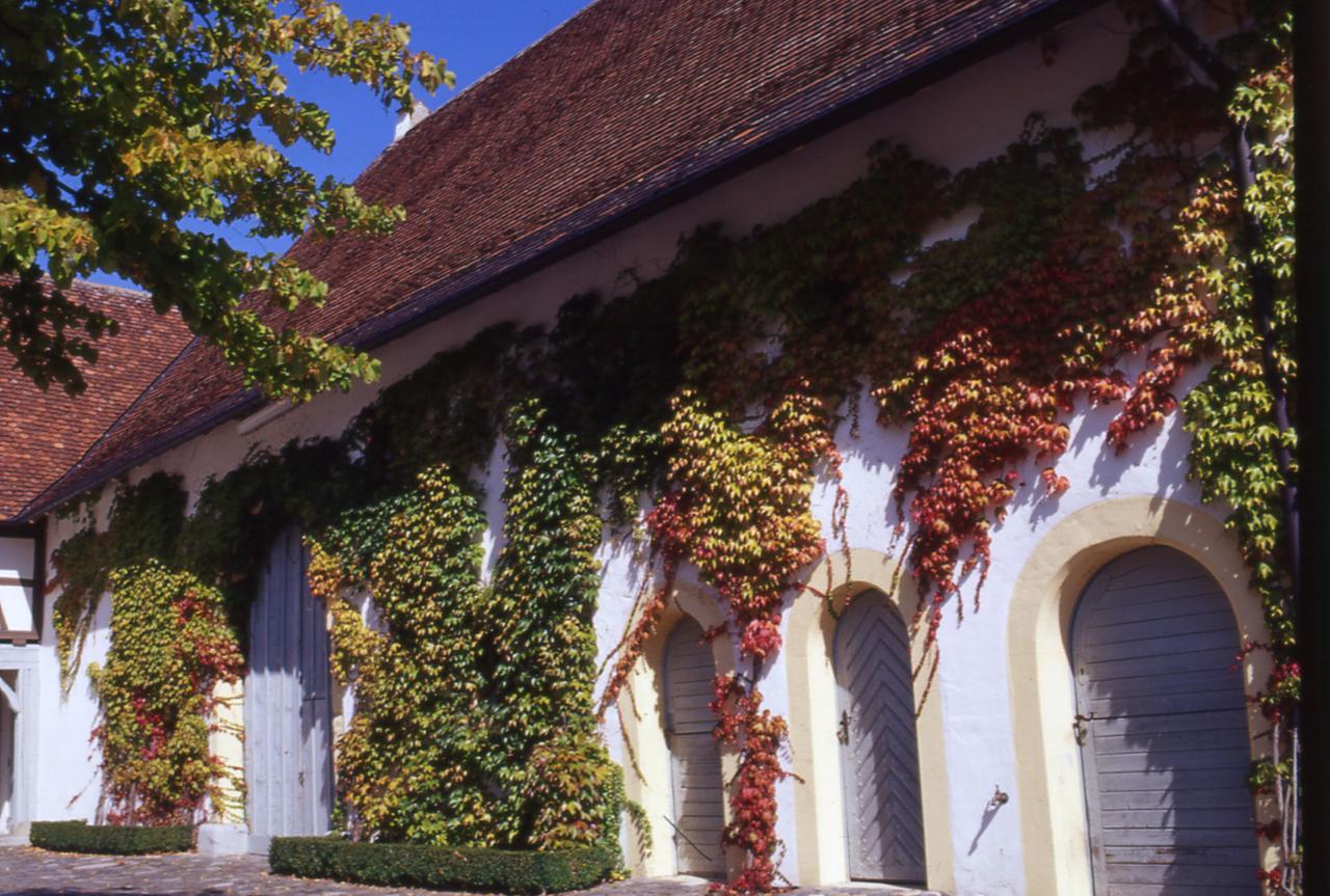Markgraeflich Badischer Gasthof Schwanen Salem  Exterior foto