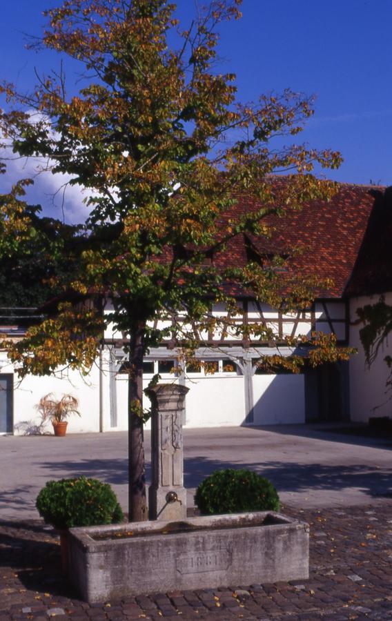 Markgraeflich Badischer Gasthof Schwanen Salem  Exterior foto